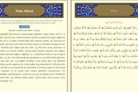 5df384787152d81790d61e6f